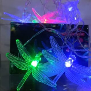Dragon Fly Ladi