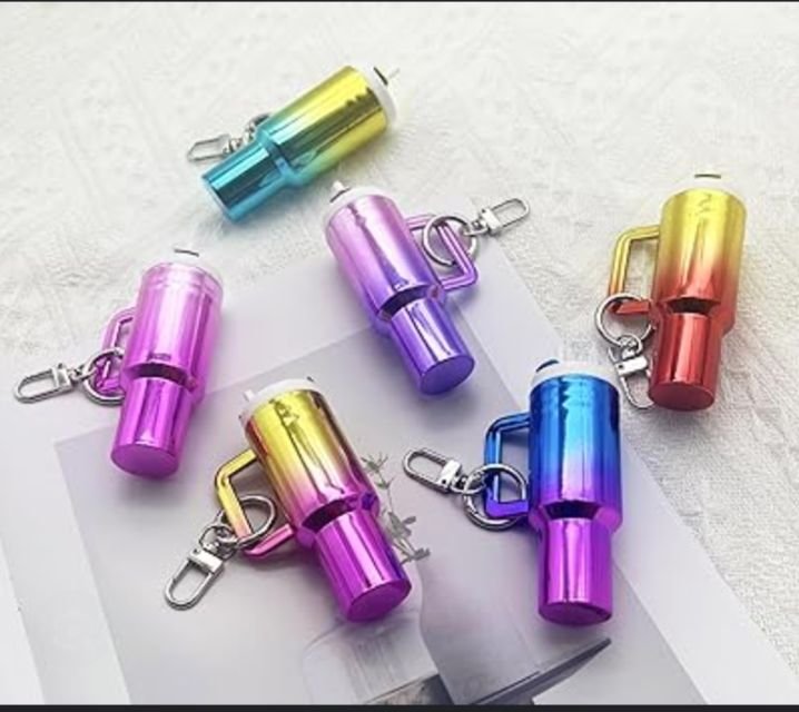 Mini cute Tumbler keychain
