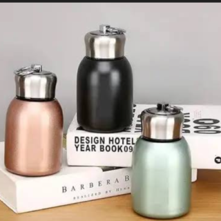 Stainless steel Thermal Flask 200 ml